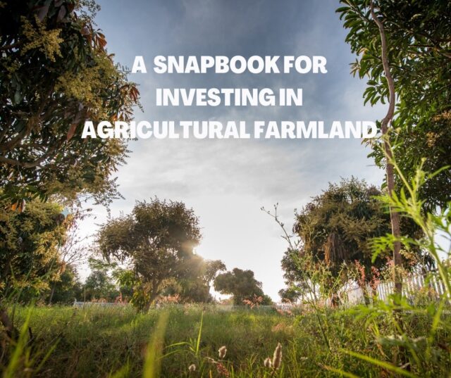 Invest Farmlands near Bangalore