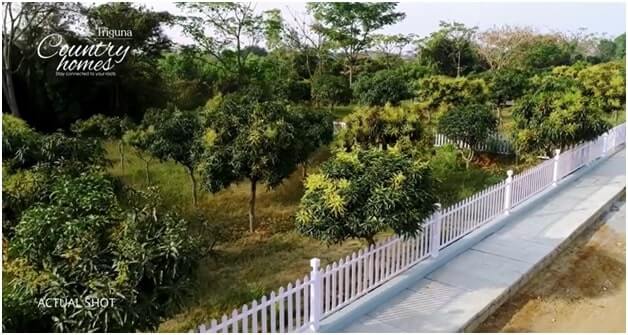 5 Beneficial trees each Miyawaki forest in Triguna Country Homes