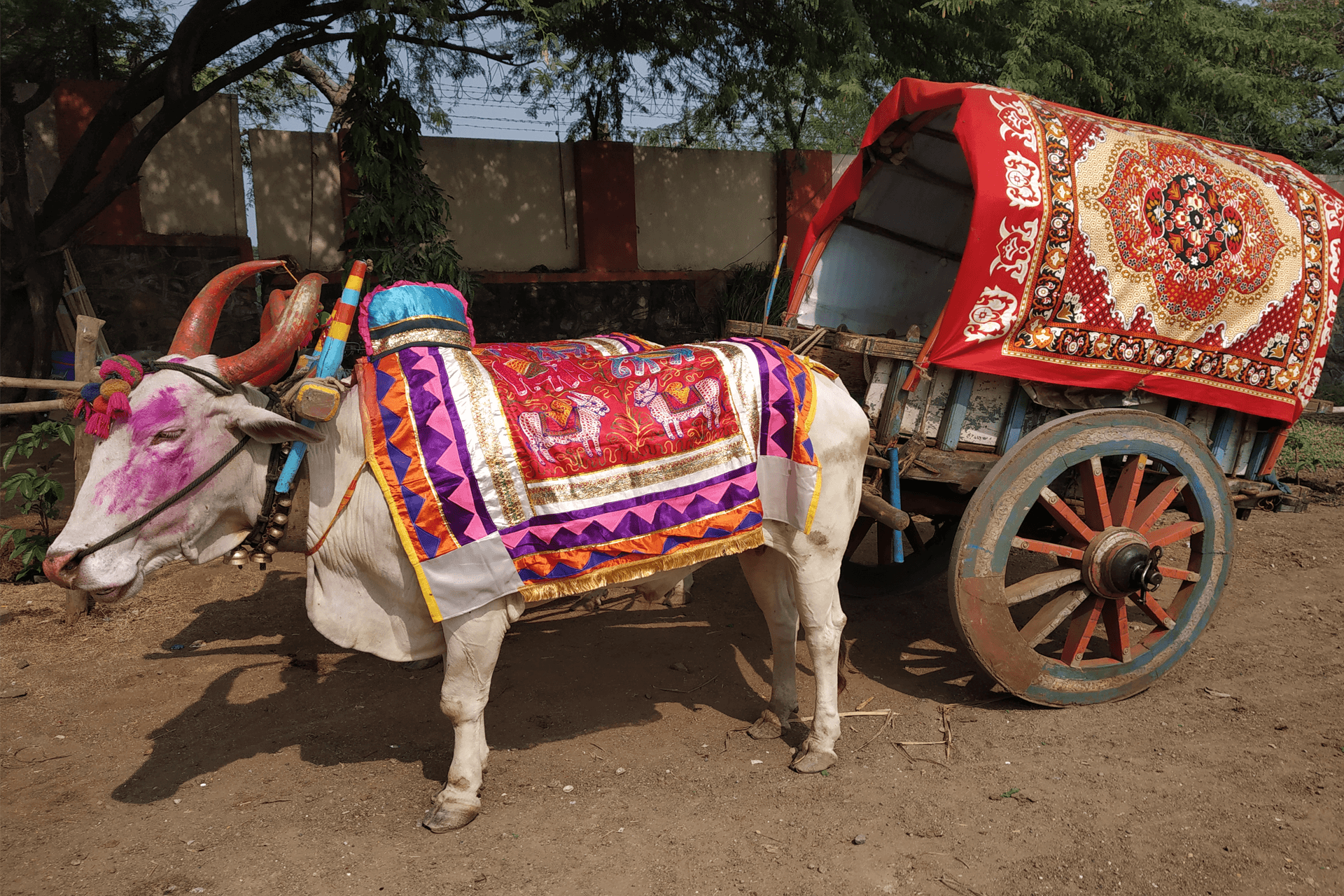 Managed Farmland near Bangalore