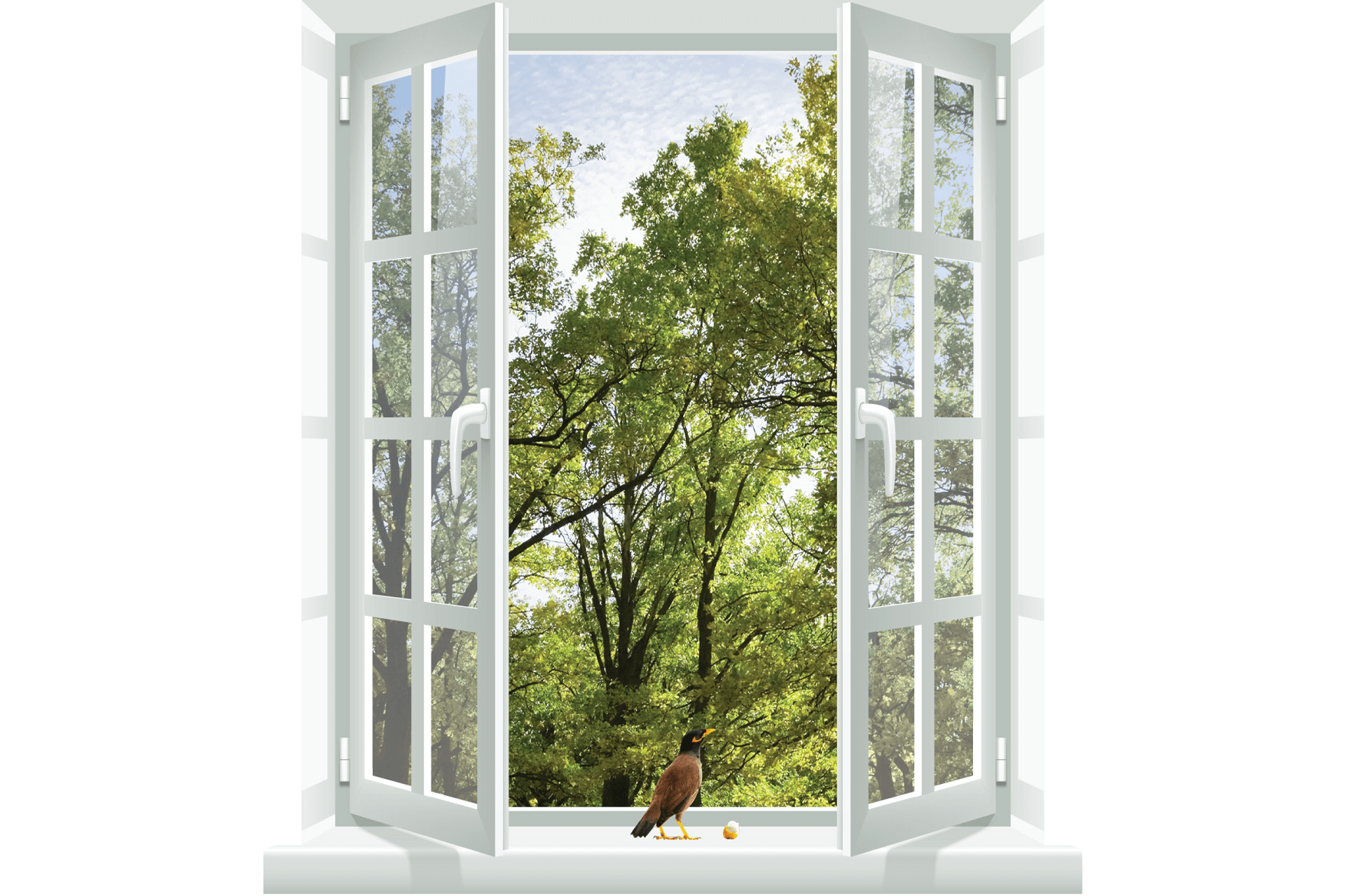 Managed Farmland near Bangalore