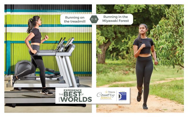 Premium Farm Plots near Bangalore