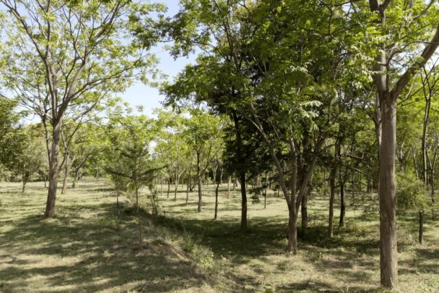 managed farmlands in bangalore