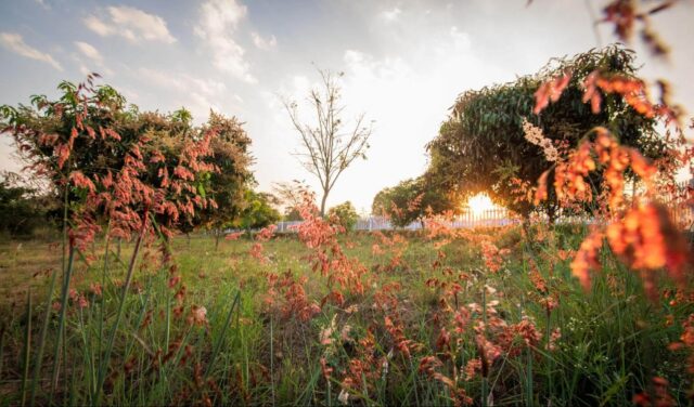 Time perfection and Unrushed