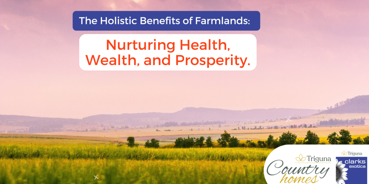 The Holistic Benefits of Farmlands: Nurturing Health, Wealth, and Prosperity