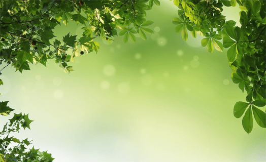 Premium Farm Plots near Bangalore