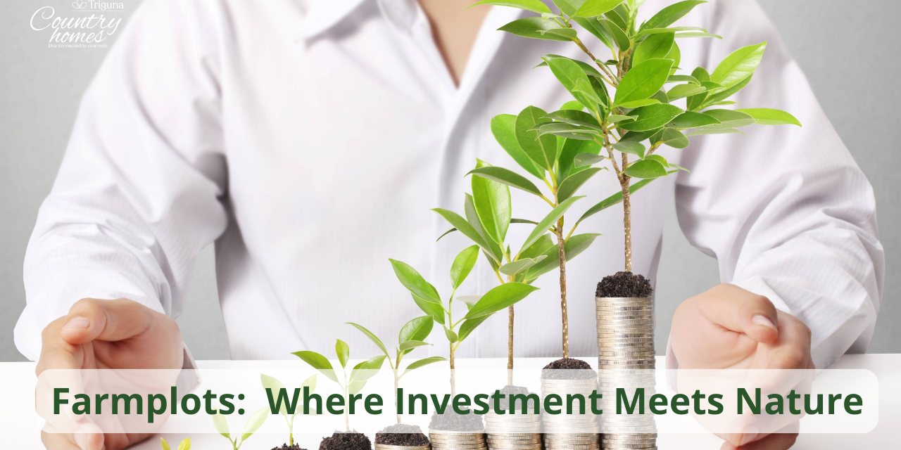 Farmplots: A Perfect Blend of Investment and a Nature-Centric Lifestyle