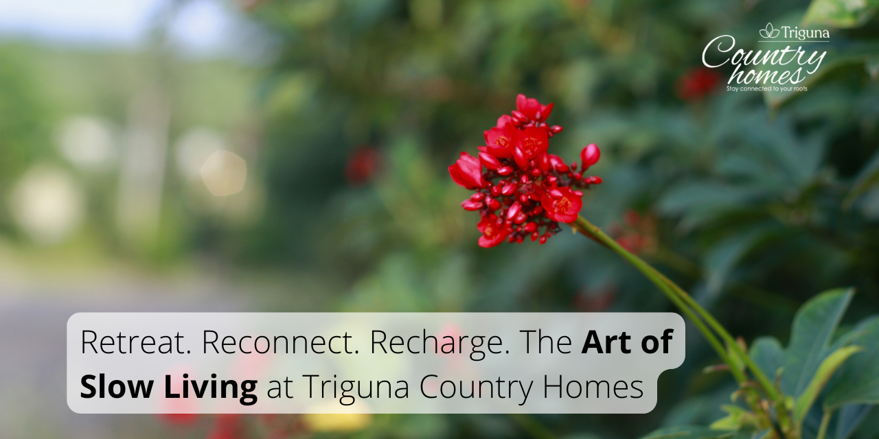 Triguna Country Homes: Your Weekend Sanctuary and an Ode to Slow Living
