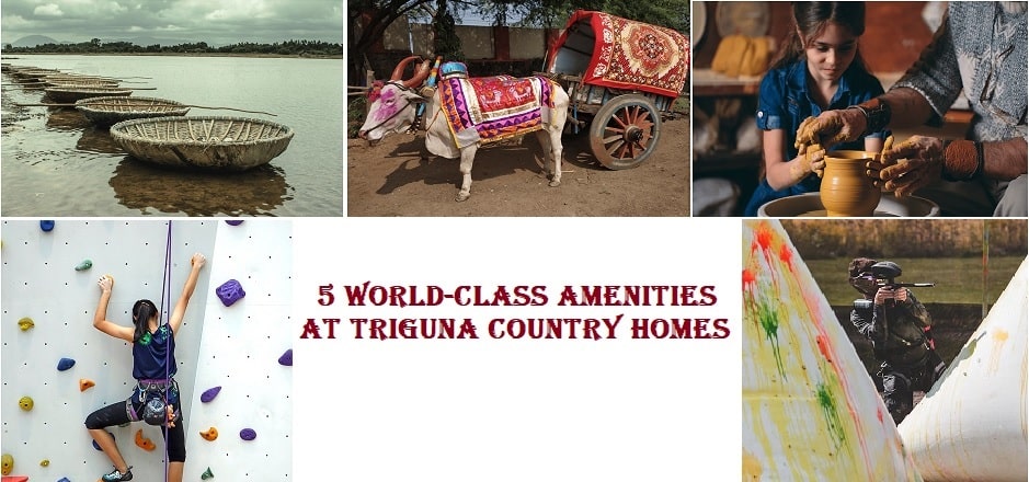 5 world-class amenities you just cannot miss that Triguna Country Homes offers