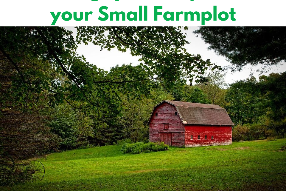 5 things you can plan in your small farmplot