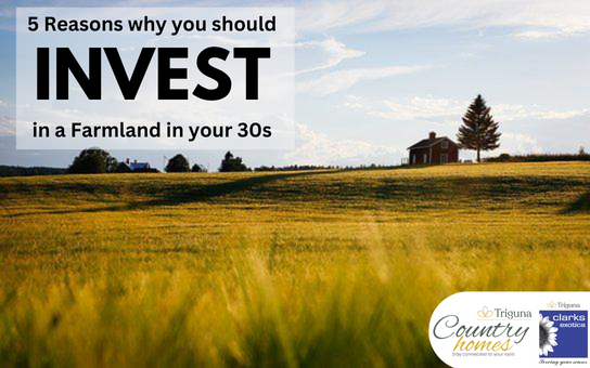 5 reasons why you should invest in a farmland in your 30’s