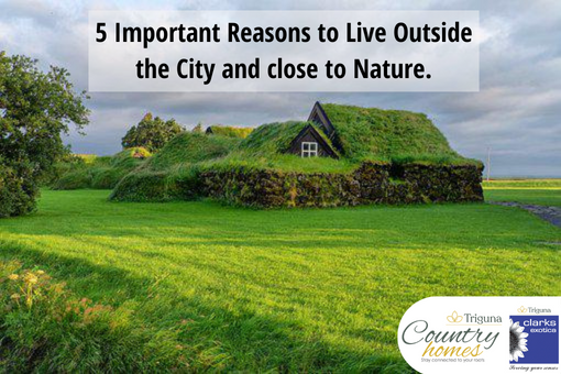 5 Important Reasons to Live Outside the City and close to Nature