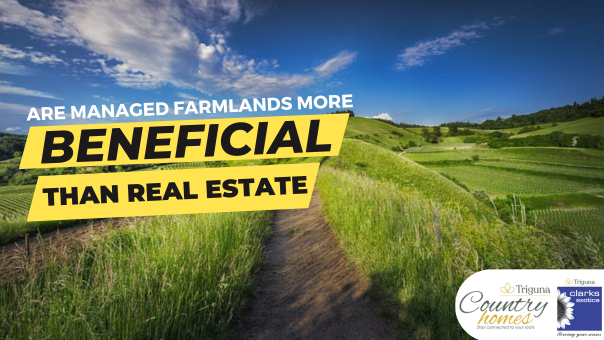Are managed farmlands more beneficial than real estate?