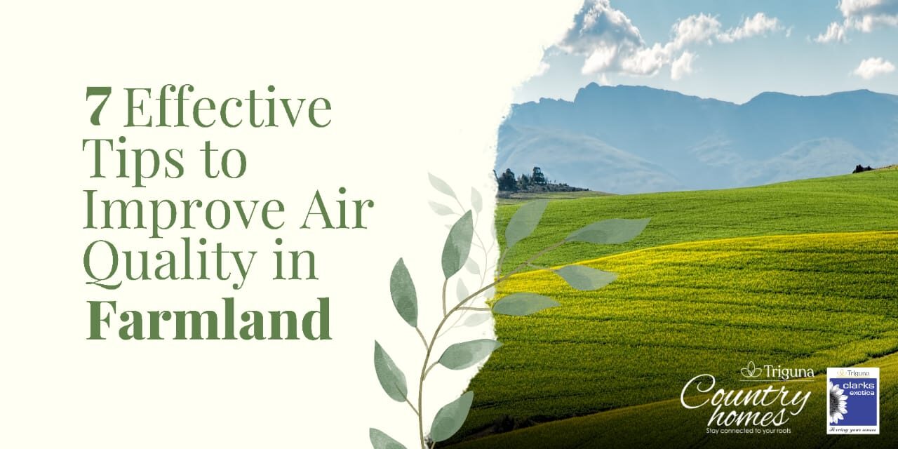 7 simple ways to boost air quality around you when living in a farmland