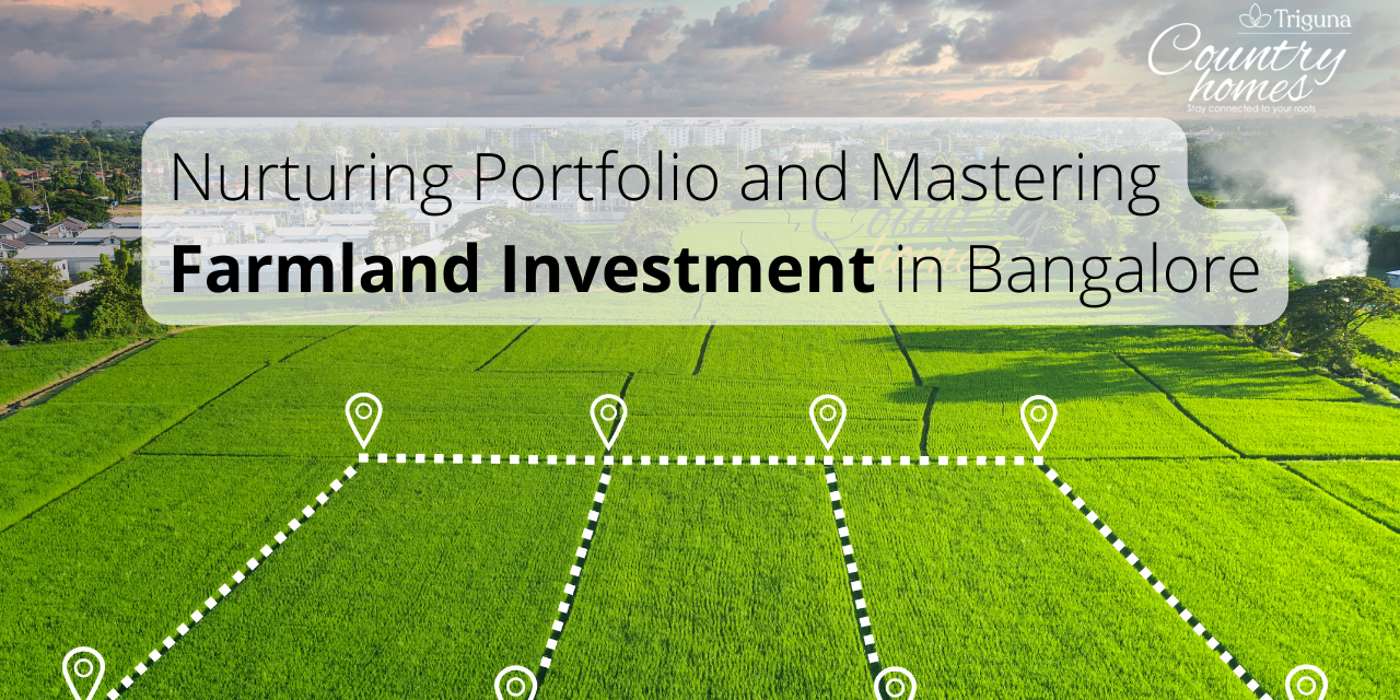 Cultivating Your Portfolio: The Art of Investing in Bangalore’s Farmland Market