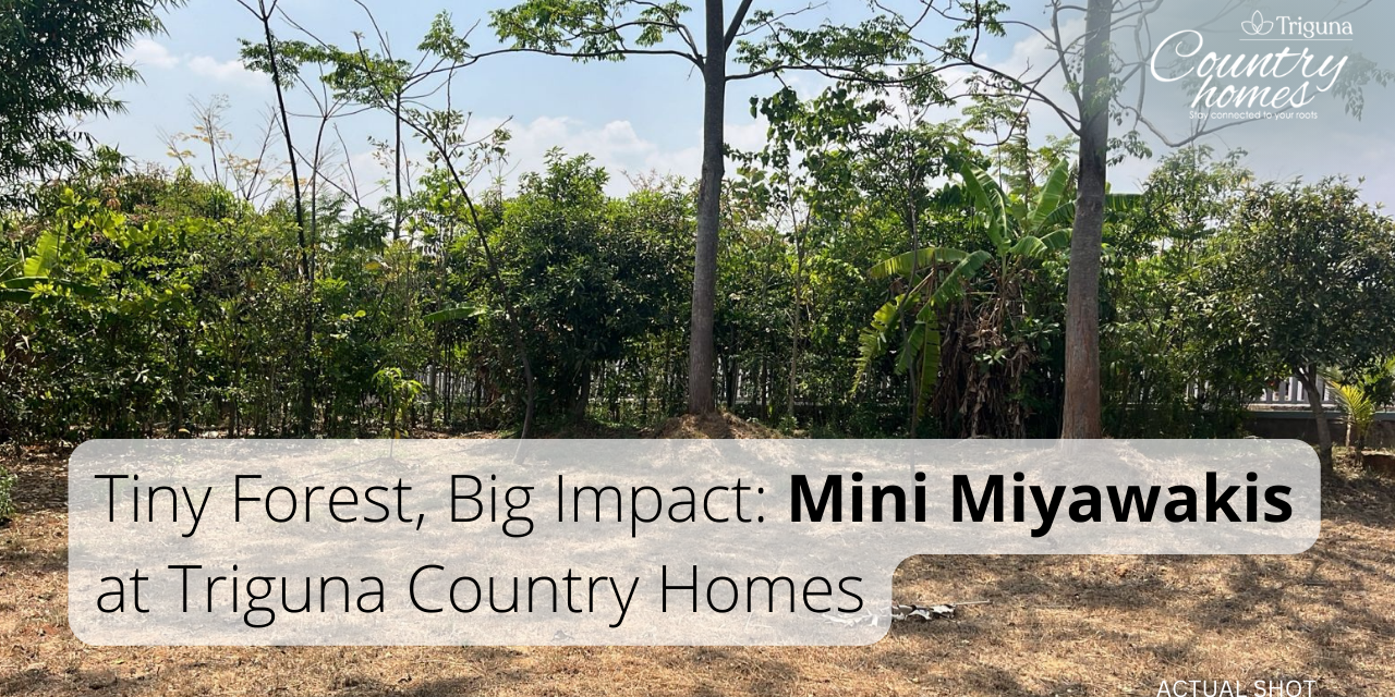 Tiny Forest, Big Impact: Triguna Country Homes Unveils Miyawaki Magic