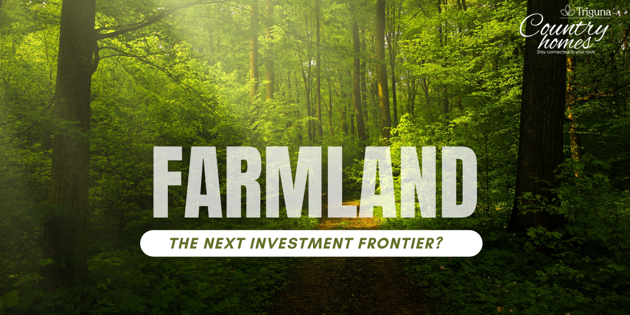 Is Farmland the Next Big Investment Opportunity? Insights & Analysis